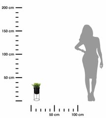 Mākslīgais augs podā, 38 cm cena un informācija | Mākslīgie ziedi | 220.lv