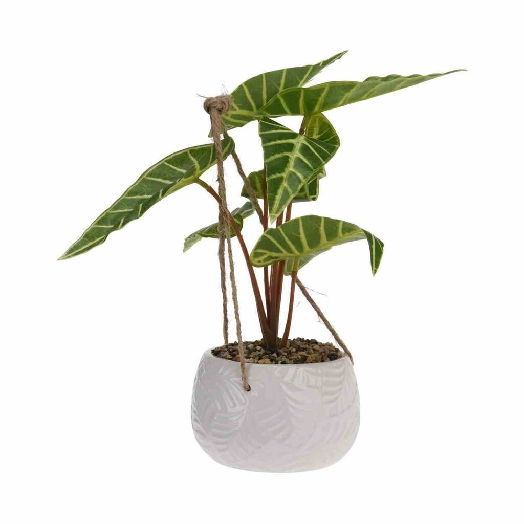Mākslīgais augs, 23 cm cena un informācija | Mākslīgie ziedi | 220.lv