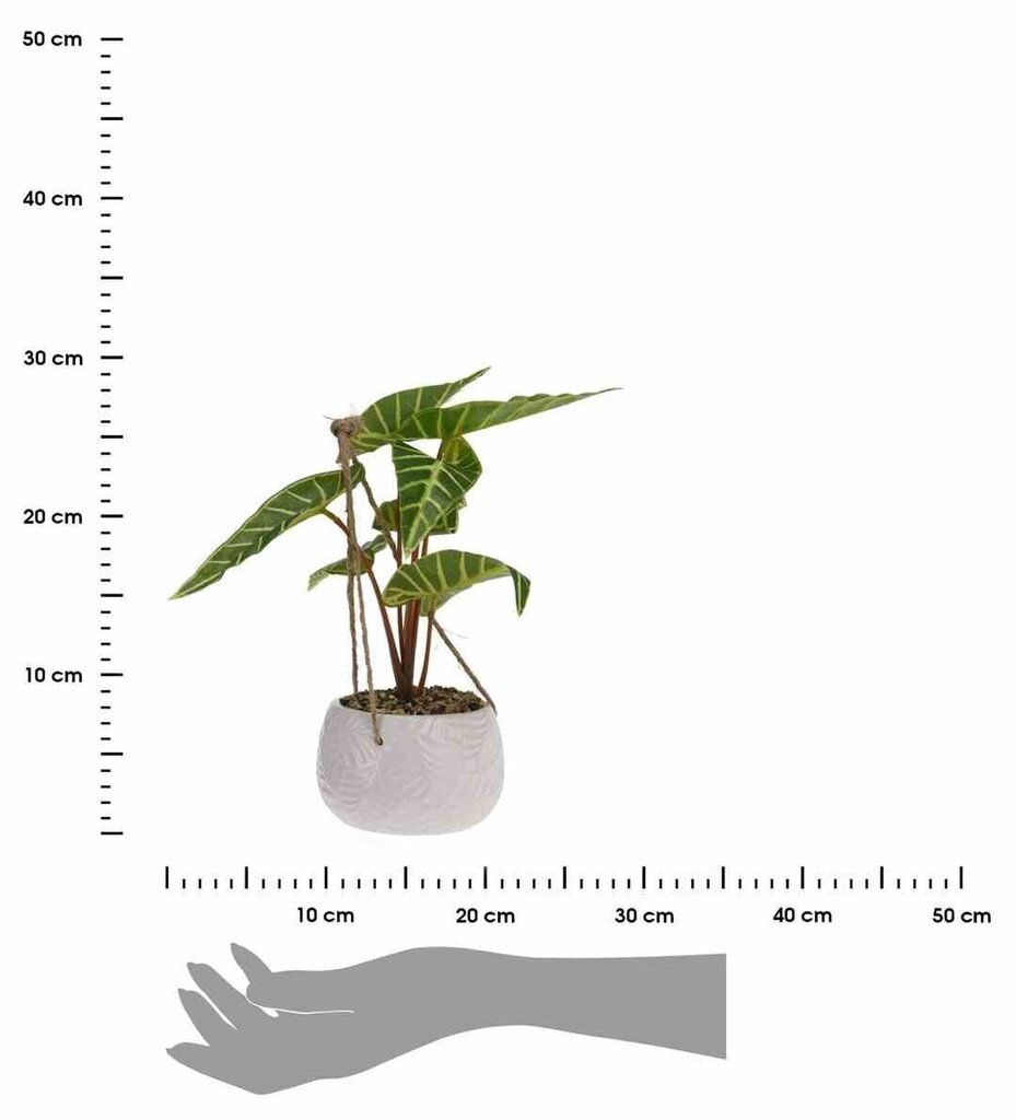 Mākslīgais augs, 23 cm cena un informācija | Mākslīgie ziedi | 220.lv