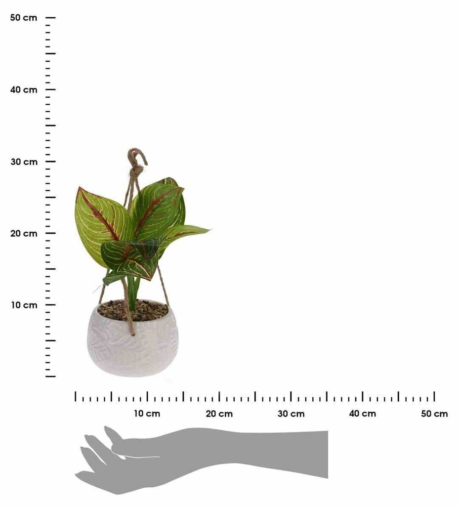 Mākslīgais augs, 23 cm cena un informācija | Mākslīgie ziedi | 220.lv