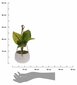 Mākslīgais augs, 23 cm cena un informācija | Mākslīgie ziedi | 220.lv