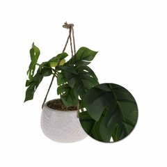 [s_product_name_ru] цена и информация | Искусственный букет DKD Home Decor, 2 шт | 220.lv