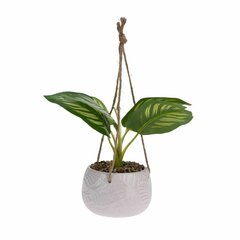 [s_product_name_ru] цена и информация | Искусственный букет DKD Home Decor, 2 шт | 220.lv