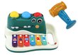 Rotaļlietu metalofons ar bumbiņu spēli, krokodils cena un informācija | Attīstošās rotaļlietas | 220.lv