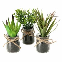 [s_product_name_ru] цена и информация | Искусственный букет DKD Home Decor, 2 шт | 220.lv