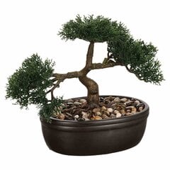 Mākslīgā bonsai koks podā, 23 cm cena un informācija | Mākslīgie ziedi | 220.lv