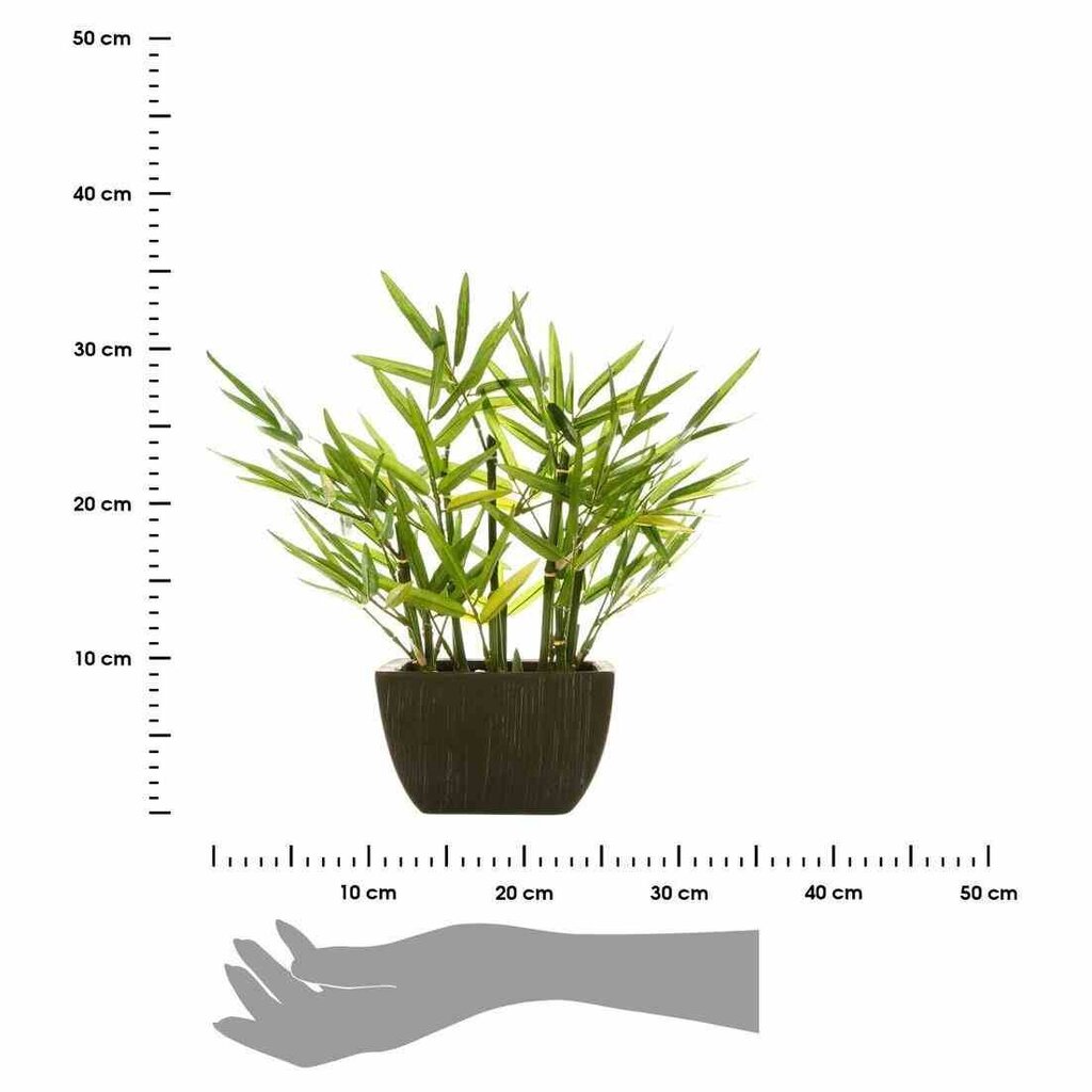 Mākslīgais bambuss podā, 35 cm cena un informācija | Mākslīgie ziedi | 220.lv