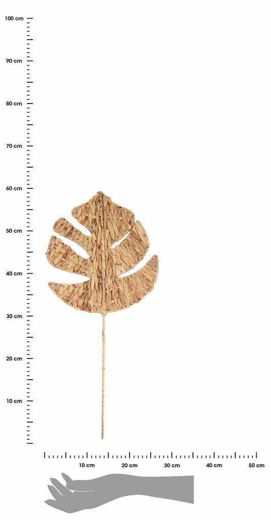 Pīta jūraszāles lapa, 58x31 cm cena un informācija | Interjera priekšmeti | 220.lv