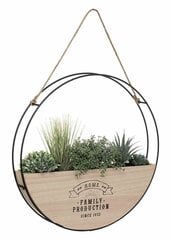 [s_product_name_ru] цена и информация | Искусственный букет DKD Home Decor, 2 шт | 220.lv