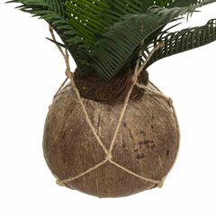 Mākslīgā palma podā cena un informācija | Mākslīgie ziedi | 220.lv