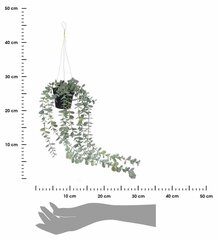 Mākslīgais piekarināmais augs, 56 cm цена и информация | Искусственные цветы | 220.lv