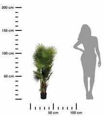 декоративная пальма 130 см цена и информация | Искусственные цветы | 220.lv