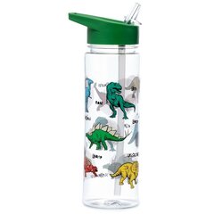 Ūdens pudele Dinosauria, 550 ml cena un informācija | Ūdens pudeles | 220.lv