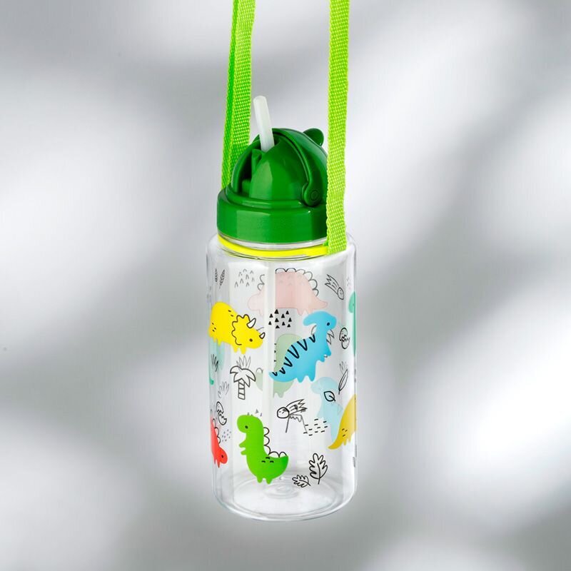 Ūdens pudele Dinosauria Jr, 450 ml cena un informācija | Ūdens pudeles | 220.lv