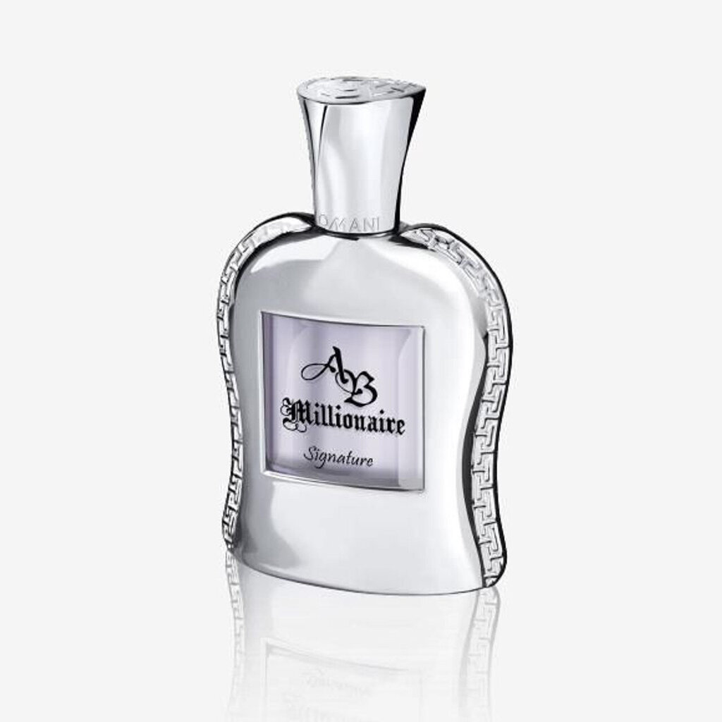 Parfimērijas ūdens AB Millionaire Signature EDP vīriešiem, 100 ml cena un informācija | Vīriešu smaržas | 220.lv