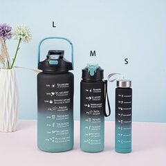 Ūdens pudele Semetor, 750 ml цена и информация | Бутылки для воды | 220.lv