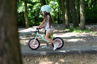 Līdzsvara velosipēds Cariboo Classic 12", rozā/zaļš цена и информация | Балансировочные велосипеды | 220.lv