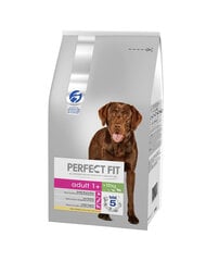 Perfect Fit для собак средних и крупных пород с курицей, 6 кг цена и информация | Сухой корм для собак | 220.lv