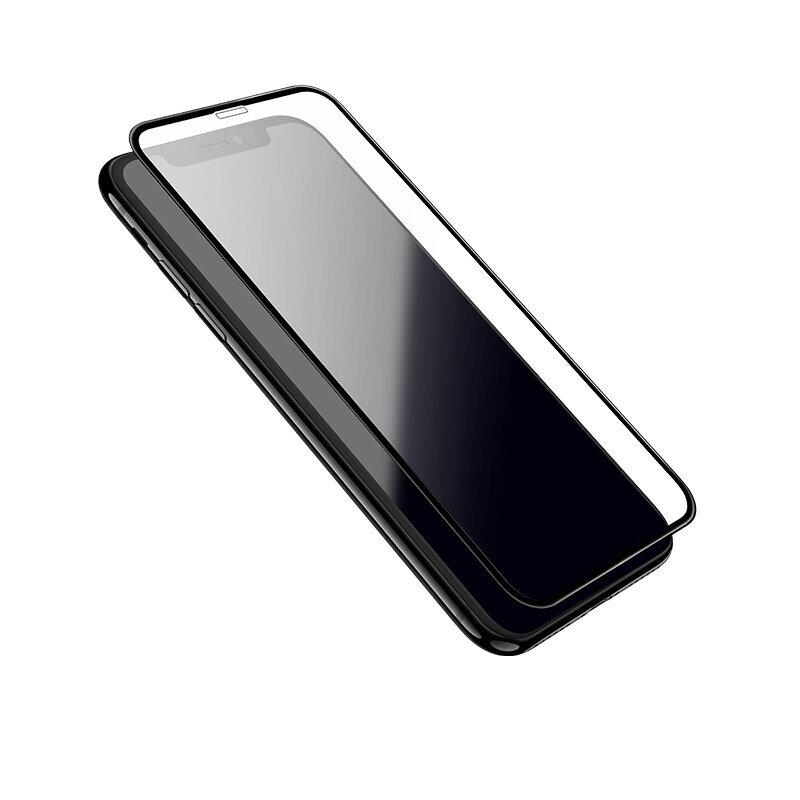Borofone Iphone X, XS, 11 Pro cena un informācija | Ekrāna aizsargstikli | 220.lv
