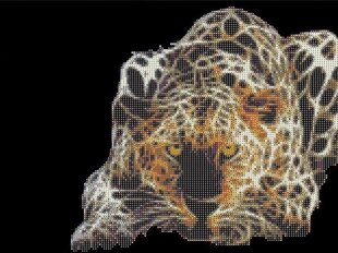 Dimanta mozaīkas komplekts Centrum Leopard, 400x500 mm cena un informācija | Dimantu mozaīkas | 220.lv