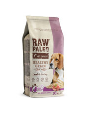 VetExpert Raw Paleo Heathy корм для всех пород собак, беззерновой с бараниной, 10 кг цена и информация | Сухой корм для собак | 220.lv