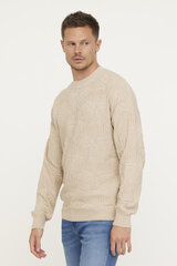 Džemperis vīriešiem Lee Cooper Claviz S450, bēšs cena un informācija | Vīriešu džemperi | 220.lv