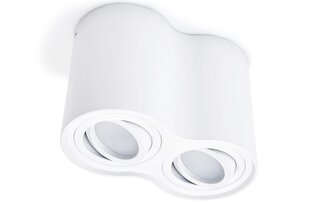LED Busto x2 алюминиевый накладной подвижный галогенный светильник, белый цена и информация | Потолочные светильники | 220.lv