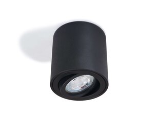 Накладной галогенный светильник Circular LED Cubo, серебро цена и информация | Монтируемые светильники, светодиодные панели | 220.lv