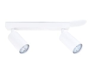 Светодиодный накладной настенно-потолочный галогенный светильник Kivi x6, белый цена и информация | Монтируемые светильники, светодиодные панели | 220.lv