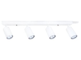 Светодиодный накладной настенно-потолочный галогенный светильник Kivi x6, белый цена и информация | Потолочный светильник | 220.lv