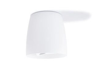 Алюминиевый накладной подвижный галогенный светильник LED Besa, белый цена и информация | Потолочные светильники | 220.lv