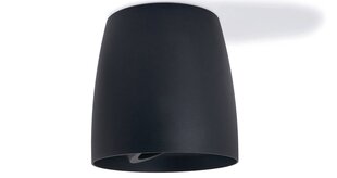 Алюминиевый накладной подвижный галогенный светильник LED Besa, белый цена и информация | Потолочные светильники | 220.lv