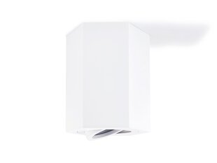 Алюминиевый накладной подвижный галогенный светильник LED Areno, белый цена и информация | Потолочный светильник | 220.lv