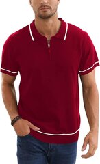 Мужская рубашка поло Remxi, бордовая цена и информация | Мужские футболки | 220.lv