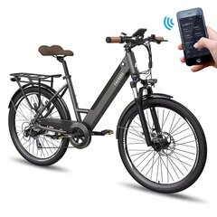 Электровелосипед FAFREES F26 Pro, 26", серый, 14,5 Ач цена и информация | Электровелосипеды | 220.lv