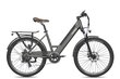 Elektriskais velosipēds Fafrees F26 Pro, 26", pelēks цена и информация | Elektrovelosipēdi | 220.lv