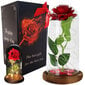 Mūžīgā roze ar LED apgaismojumu, sarkana цена и информация | Stabilizētās rozes, augi | 220.lv