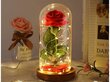Mūžīgā roze ar LED apgaismojumu, sarkana цена и информация | Stabilizētās rozes, augi | 220.lv