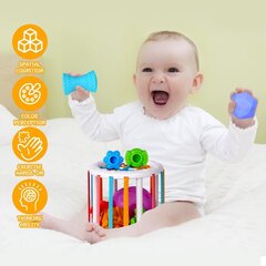 Montessori sensorā šķirošanas rotaļlieta Vicloon cena un informācija | Rotaļlietas zīdaiņiem | 220.lv
