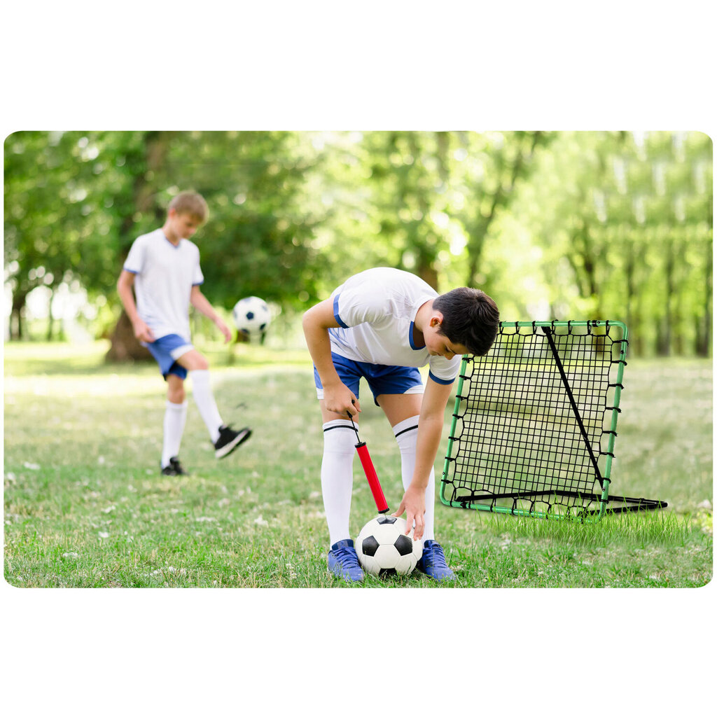 Apmācības mērķis Rebounder Neo-Sport, 100x100 cm цена и информация | Futbola vārti un tīkls | 220.lv