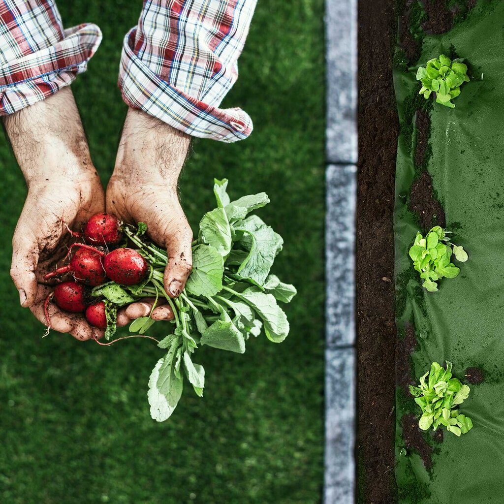 Agrotekstils Plonos, 1,6x50m, 100 tapas, zaļš cena un informācija | Dārza instrumenti | 220.lv