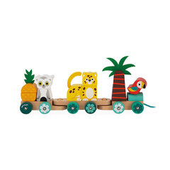Поезд на веревочке, с кубиками Tropik Janod цена и информация | Игрушки для малышей | 220.lv