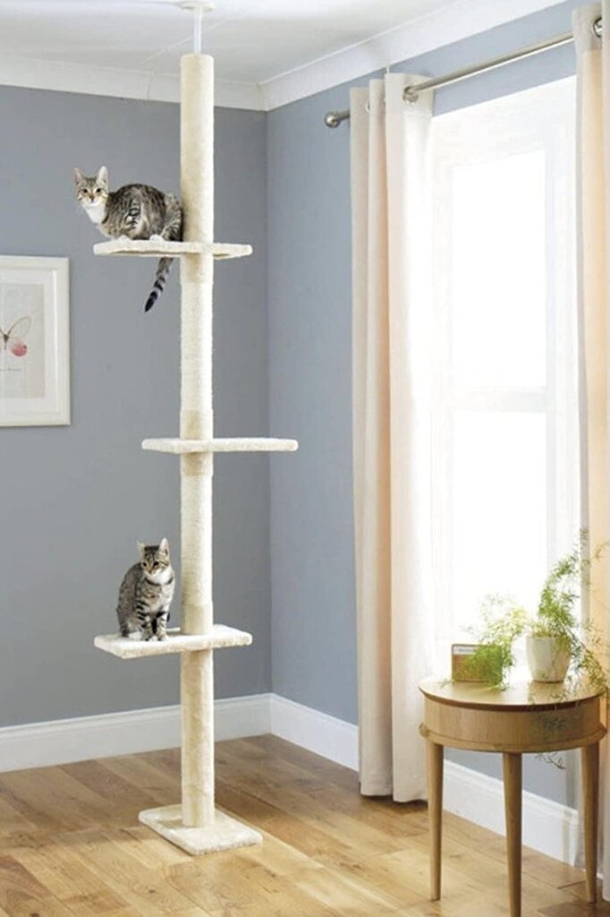 Kaķu māka Ca&T, 288 cm цена и информация | Kaķu mājas, nagu asināmie | 220.lv