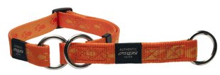 Apkakle Rogz Alpinist, 25 mm/34-56 cm, oranžs cena un informācija | Apkakles, siksnas suņiem | 220.lv