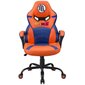 Spēļu krēsls Subsonic Junior Dragon Ball V2, oranžs цена и информация | Biroja krēsli | 220.lv