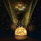 Starly zvaigžņu projektora nakts lampa cena un informācija | Lampas bērnu istabai | 220.lv