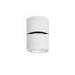 Griestu lampa Herios CLN-97018-12W-L-3K cena un informācija | Griestu lampas | 220.lv