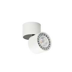 Griestu lampa Herios CLN-97018-12W-L-3K цена и информация | Потолочный светильник | 220.lv