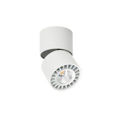 Griestu lampa Herios CLN-97018-12W-L-3K цена и информация | Потолочные светильники | 220.lv