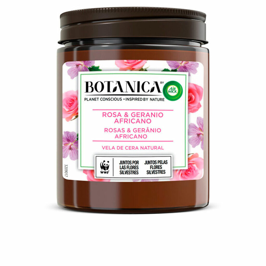 Aromātiska svece Air Wick Botanica Ģerānijs Rožu 205 g цена и информация | Sveces un svečturi | 220.lv